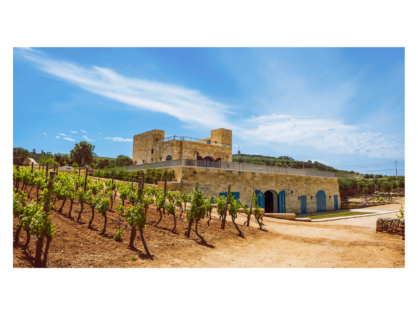 La ricca tradizione vitivinicola maltese: intervista a Joseph Bonello