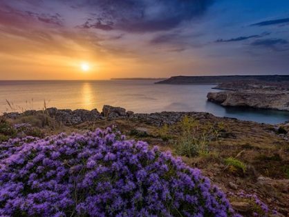 Majjistral Nature and History Park, il lato verde di Malta.