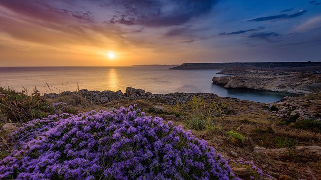 Majjistral Nature and History Park, il lato verde di Malta.