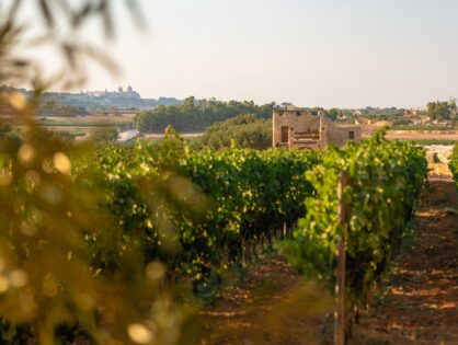 Un giorno DiVino per un incentive travel che premia la convivialità