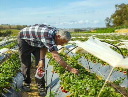 Viaggi business sostenibili: buone pratiche da seguire