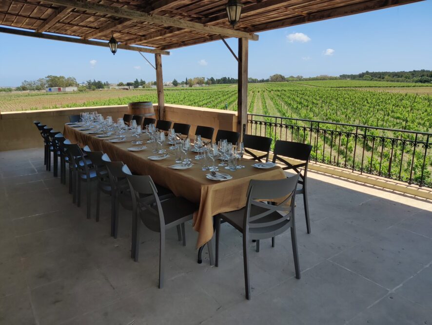 Meridiana Wine Estate: incentive&wine tasting experience