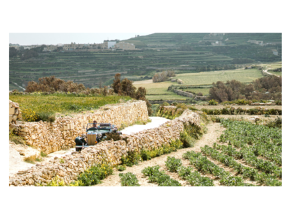 Tal-Massar Winery, il wine tasting nella natura sull’isola di Gozo