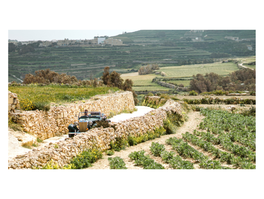 Tal-Massar Winery, il wine tasting nella natura sull’isola di Gozo